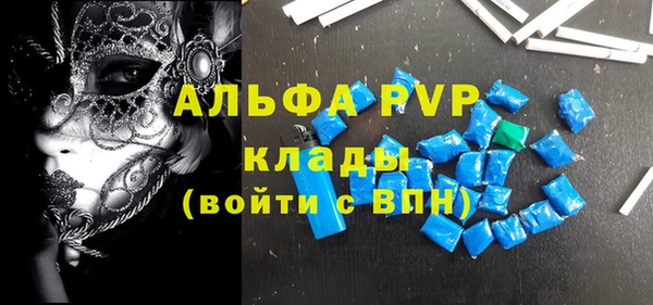 молекула духа Медвежьегорск
