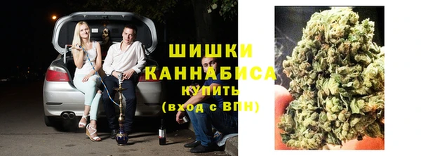 крисы Абдулино